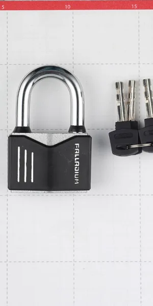 Замок навесной Palladium 900S-60