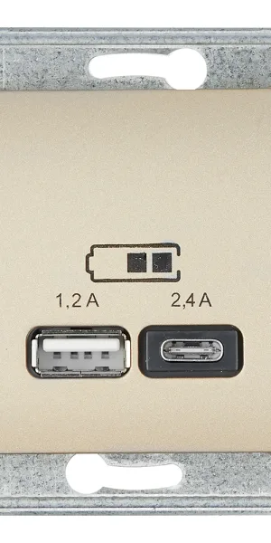 Розетка USB Systeme Electric Glossa встраиваемая титан USB-A/ Type-C (GSL000439)