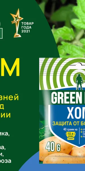 Средство для защиты растений от болезней Green Belt Хом 40 г