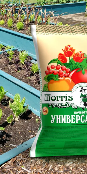 Почвогрунт Morris Green универсальный 65 л