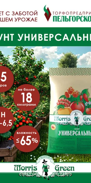 Почвогрунт Morris Green универсальный 65 л
