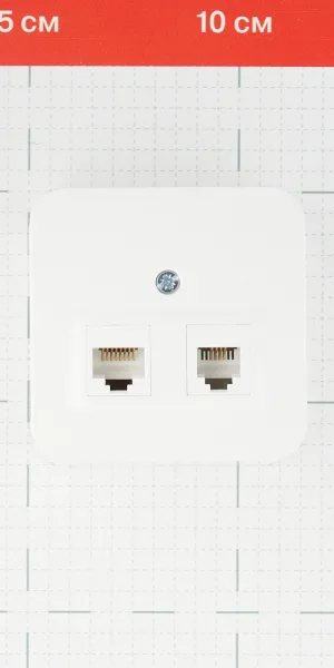 Розетка компьютерная/ телефонная Systeme Electric Blanca накладная белая RJ11/ RJ45 (BLNIA045111)