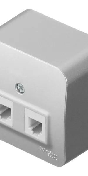 Розетка компьютерная/ телефонная Systeme Electric Blanca накладная алюминий RJ11/ RJ45 (BLNIA045113)