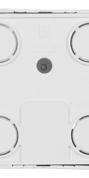 Розетка компьютерная/ телефонная Systeme Electric Blanca накладная алюминий RJ11/ RJ45 (BLNIA045113)