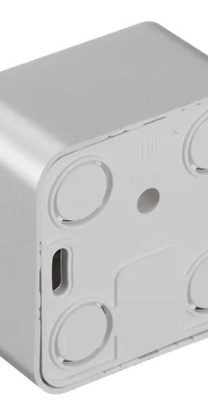 Розетка компьютерная/ телефонная Systeme Electric Blanca накладная алюминий RJ11/ RJ45 (BLNIA045113)