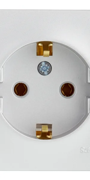 Розетка Systeme Electric Blanca накладная алюминий (BLNRA010113)