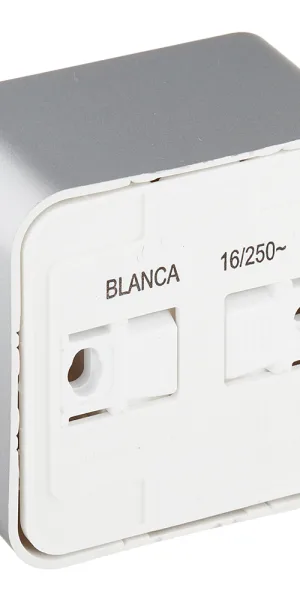 Розетка Systeme Electric Blanca накладная алюминий (BLNRA010113)