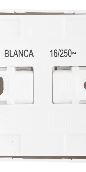 Розетка Systeme Electric Blanca накладная алюминий (BLNRA010113)