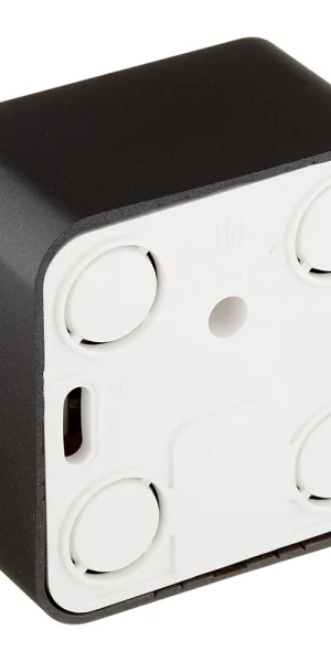 Розетка компьютерная/ телефонная Systeme Electric Blanca накладная антрацит RJ11/ RJ45 (BLNIA045116)