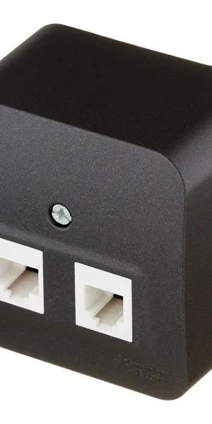 Розетка компьютерная/ телефонная Systeme Electric Blanca накладная антрацит RJ11/ RJ45 (BLNIA045116)