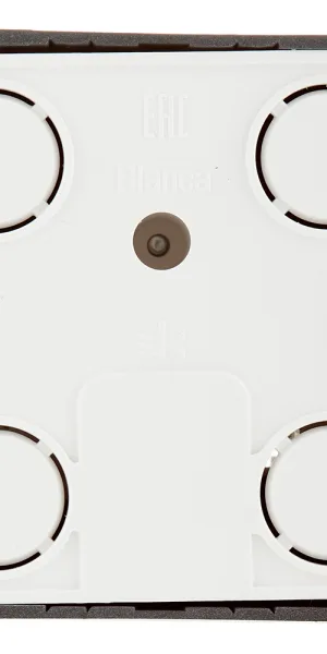 Розетка компьютерная/ телефонная Systeme Electric Blanca накладная антрацит RJ11/ RJ45 (BLNIA045116)