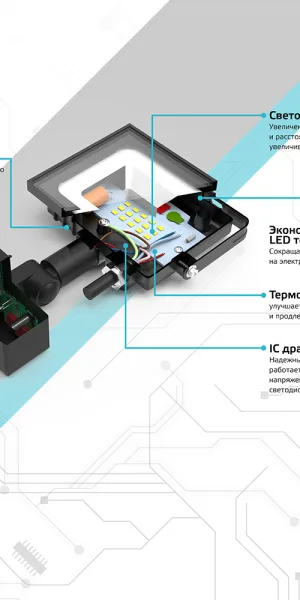 Прожектор светодиодный Gauss Elementary-S ДО-10 6500К 10 Вт IP65 с датчиком движения черный