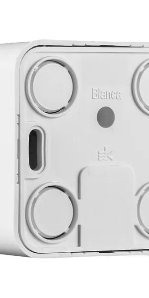 Розетка компьютерная Systeme Electric Blanca накладная белая RJ45 (BLNIA045001)