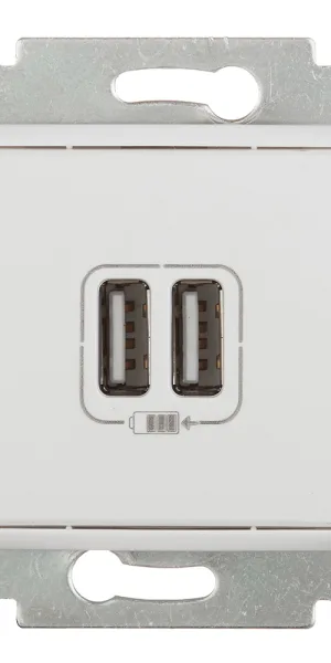 Розетка USB Legrand Valena встраиваемая белая 2хUSB-A (694370)