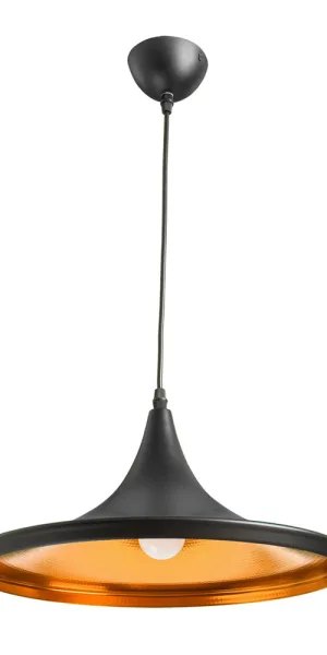 Светильник подвесной Arte Lamp Cappello E27 40 Вт 2 кв.м черный IP20 (A3406SP-1BK)