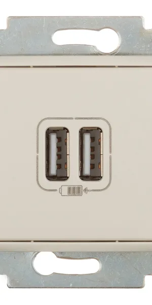 Розетка USB Legrand Valena встраиваемая слоновая кость 2хUSB-A (694372)