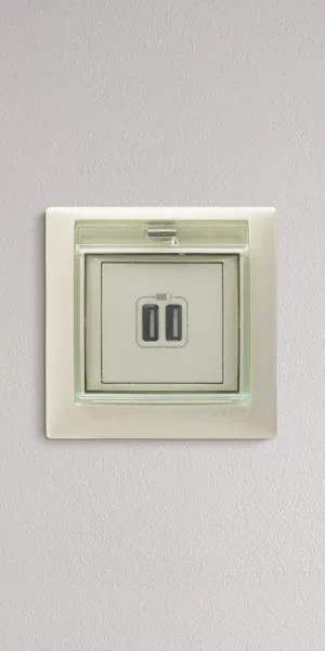 Розетка USB Legrand Valena встраиваемая слоновая кость 2хUSB-A (694372)