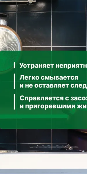 Жироудалитель Prosept спрей 0,5 л