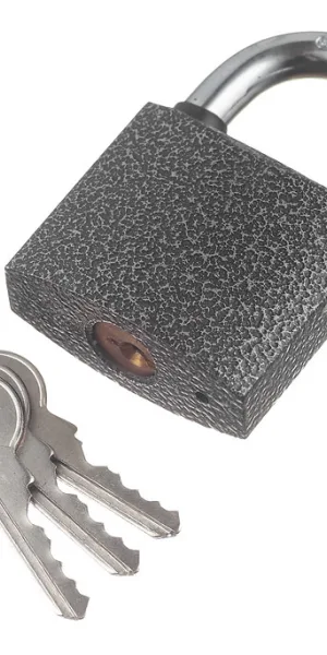 Замок навесной Palladium 303F-50