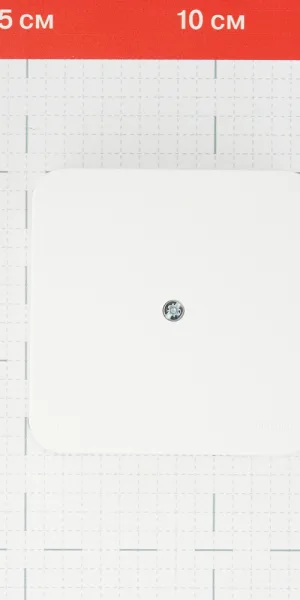 Коробка распределительная Systeme Electric Blanca накладная молочная (BLNRK000012)