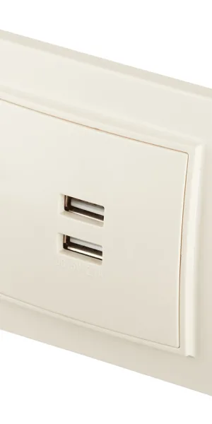 Розетка USB EKF Минск встраиваемая бежевая 2хUSB-А (ERR-2USB-200)