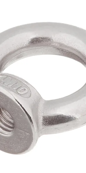 Рым-гайка M10 DIN 582 нержавеющая сталь
