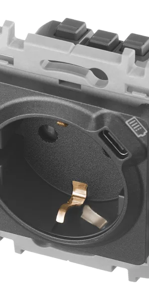 Розетка Legrand Inspiria встраиваемая антрацит с USB Type-C (673773)