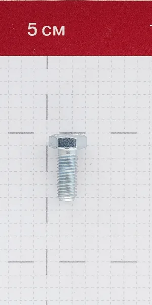 Болт оцинкованный M8x20 мм DIN 933 10,9 (4 шт.)