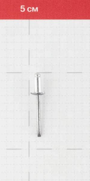 Заклепка вытяжная 4,8x10 мм алюминий/сталь серая RAL 7024 (100 шт.)