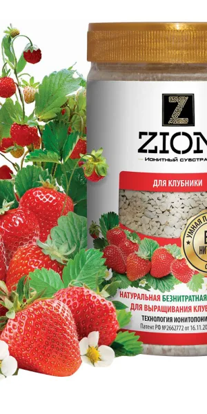 Удобрение для выращивания клубники ионитный субстрат Zion 0,7 кг