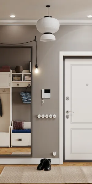 Дверь входная Mastino Home Eco правая букле графит - ларче белый 860х2050 мм