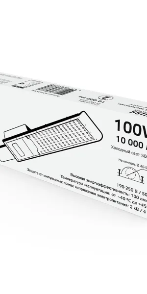Светильник уличный светодиодный Gauss Avenue 5000К 100 Вт консольный IP65 (629534300)