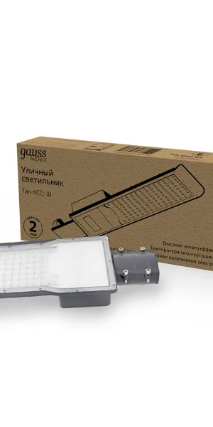 Светильник уличный светодиодный Gauss Avenue 5000К 100 Вт консольный IP65 (629534300)
