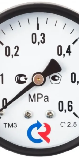 Манометр Росма ТМ-210Т.00 G1/4.2,5 аксиальный 1/4 НР(ш) 6 бар d50 мм (598)