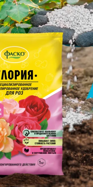 Удобрение минеральное для роз гранулированное Глория Фаско 1 кг