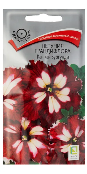 Петуния грандифлора Кан кан бургунди Поиск 12 г