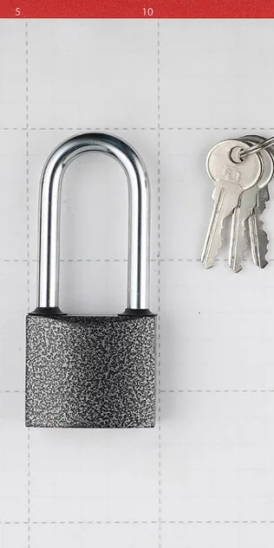 Замок навесной Palladium 303F-50L