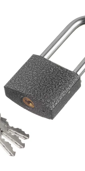 Замок навесной Palladium 303F-50L
