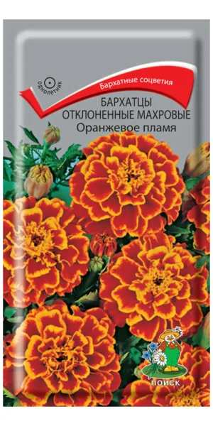 Бархатцы отклоненные махровые Оранжевое пламя Поиск 0,4 г