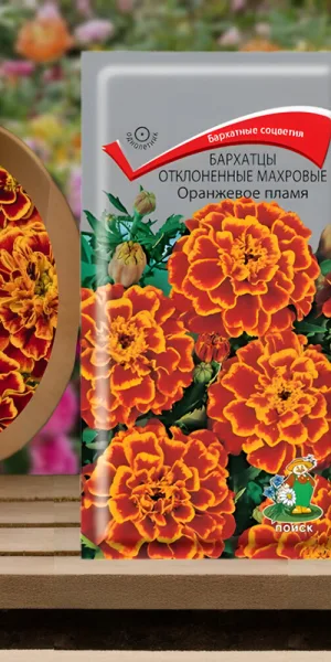 Бархатцы отклоненные махровые Оранжевое пламя Поиск 0,4 г