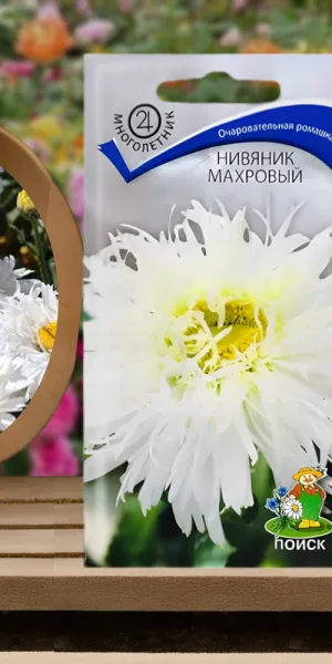 Нивяник махровый Поиск 5 шт.
