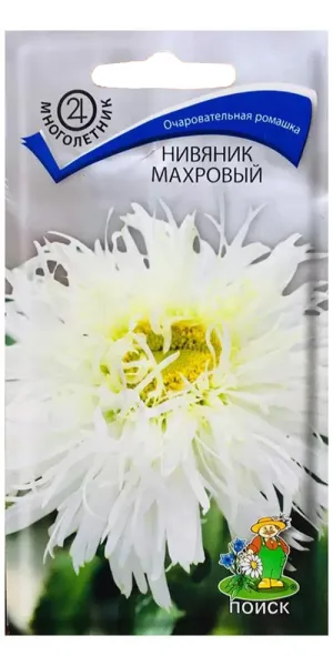 Нивяник махровый Поиск 5 шт.