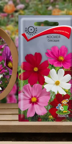 Космея Сенсация Поиск 10 шт.