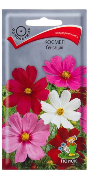Космея Сенсация Поиск 10 шт.