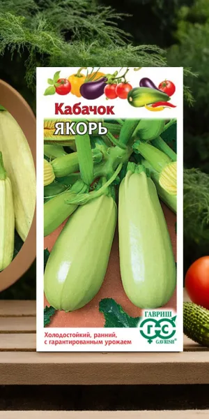 Кабачок Якорь Поиск 2 г