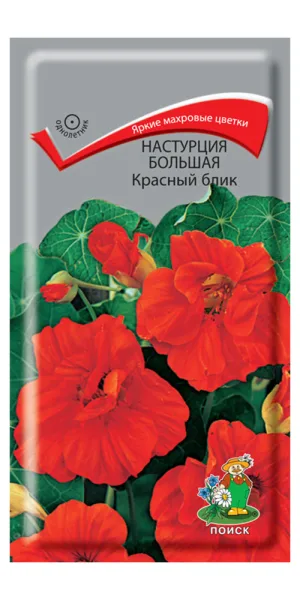 Настурция большая Красный блик Поиск 2 г