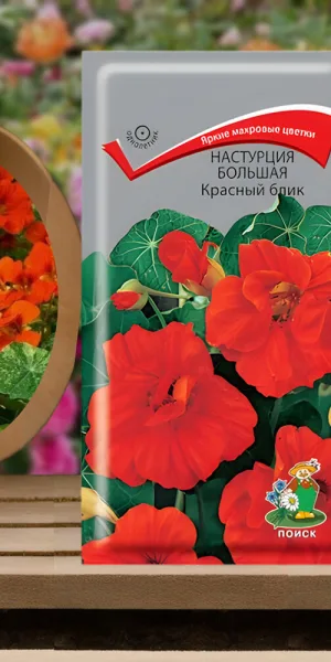 Настурция большая Красный блик Поиск 2 г