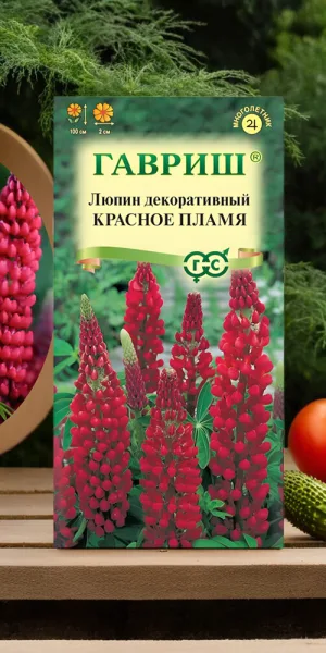 Люпин декоративный Красное пламя Гавриш 0,5 г