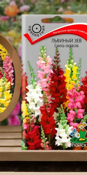 Львиный зев смесь окрасок Поиск 0,3 г