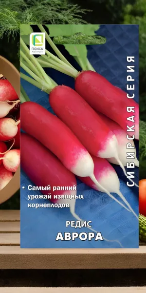 Редис Аврора Поиск 2 г